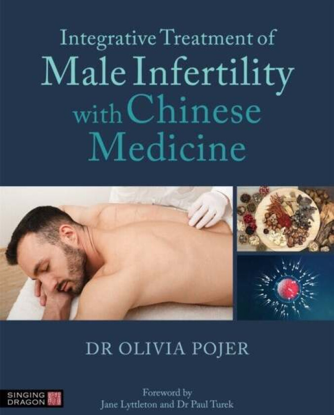 Integrative Treatment of Male Infertility with Chinese Medicine av Dr Olivia Pojer