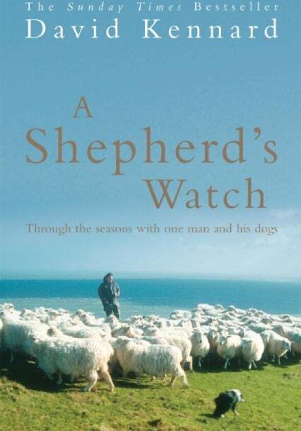 A Shepherd's Watch av David Kennard