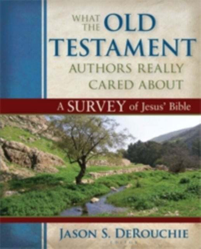 What the Old Testament Authors Really Cared Abou ¿ A Survey of Jesus` Bible av Jason Derouchie