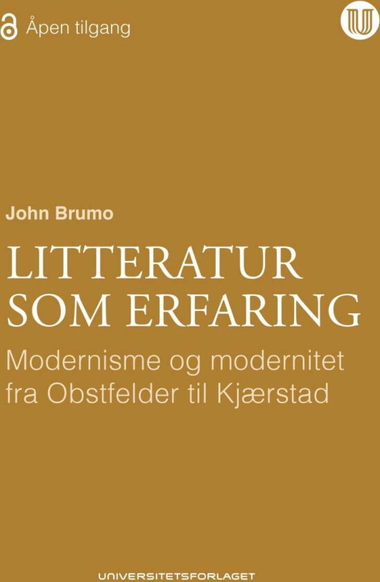 Litteratur som erfaring av John Brumo
