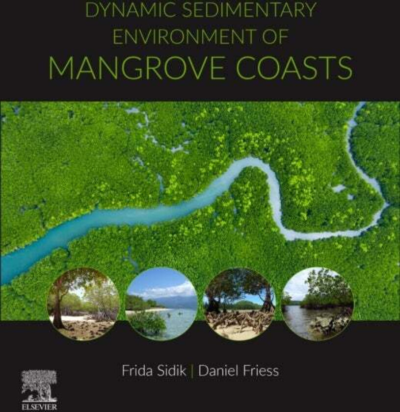 Dynamic Sedimentary Environments of Mangrove Coasts