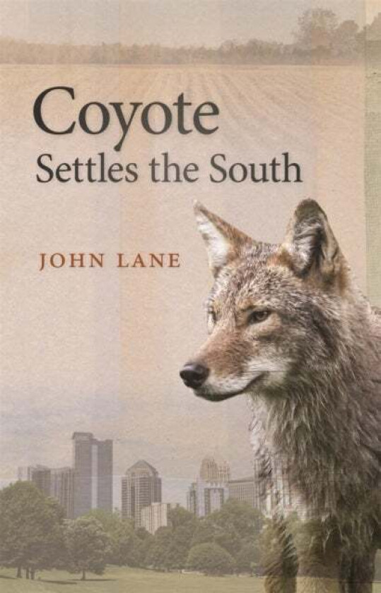 Coyote Settles the South av John Lane