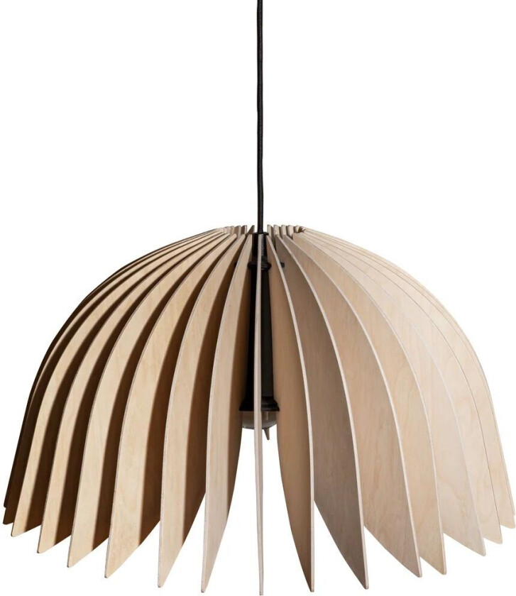 - Verna 50 Pendel Birch