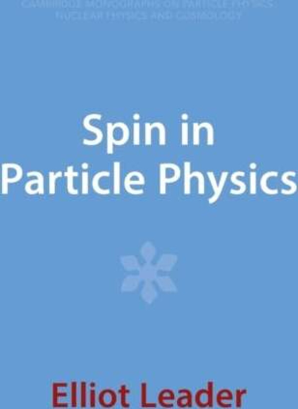 Spin in Particle Physics av Elliot (Imperial College London) Leader