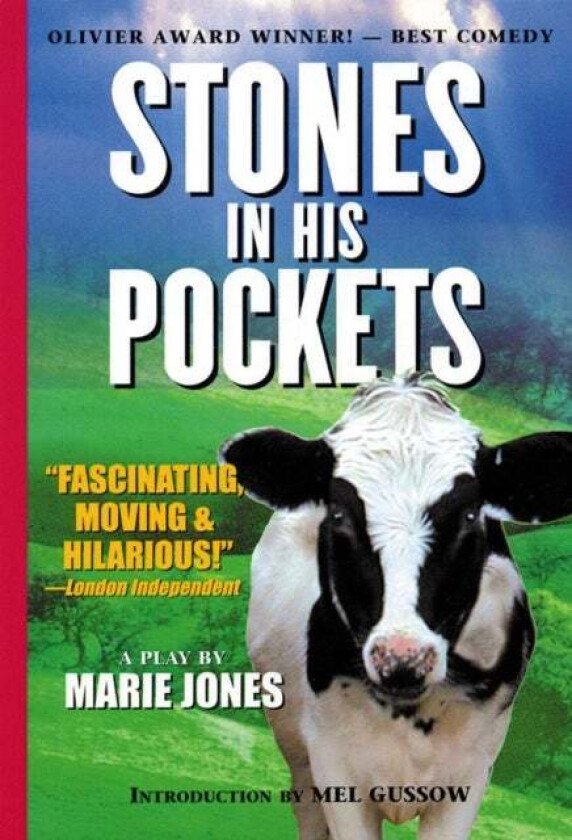 Stones in His Pockets av Marie Jones