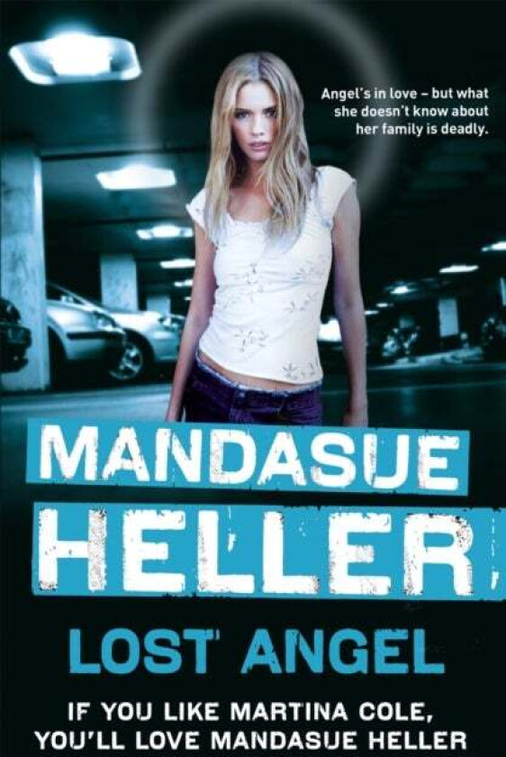 Lost Angel av Mandasue Heller
