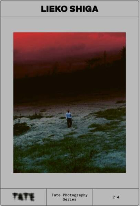 Tate Photography: Lieko Shiga