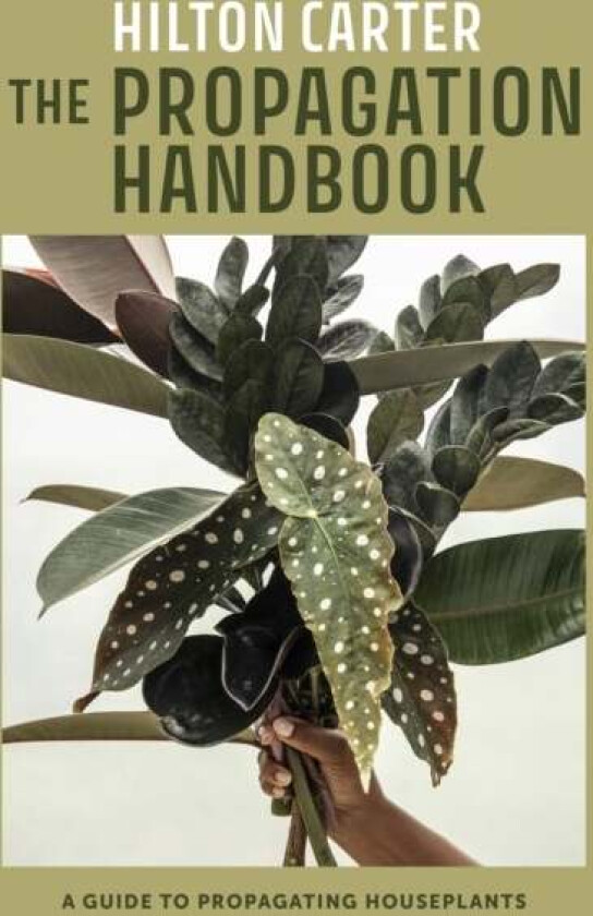 The Propagation Handbook av Hilton Carter