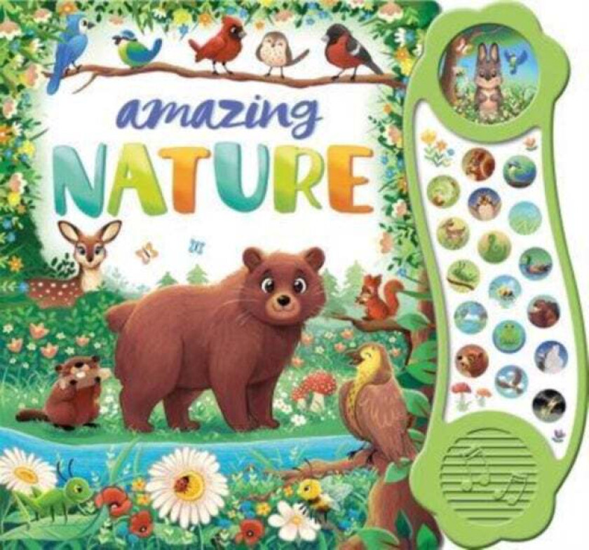 Amazing Nature av Igloo Books