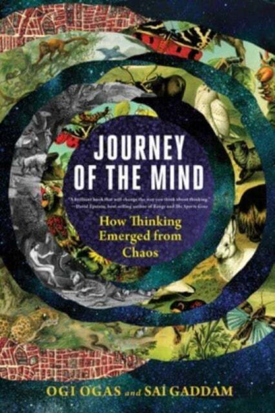 Journey of the Mind av Ogi (Boston University) Ogas, Sai Gaddam