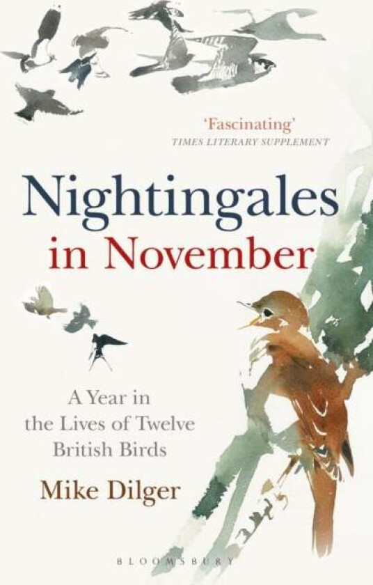 Nightingales in November av Mike Dilger
