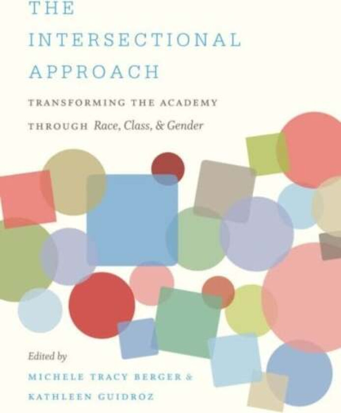 The Intersectional Approach