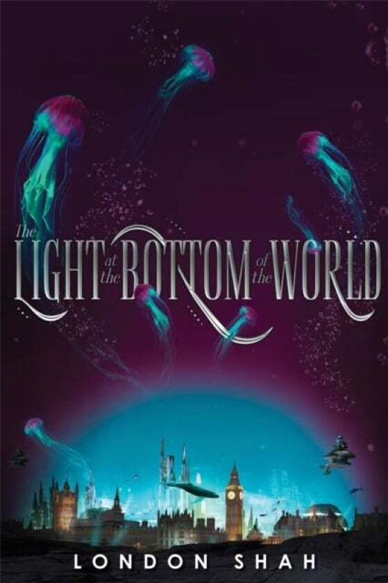 The Light at the Bottom of the World av London Shah