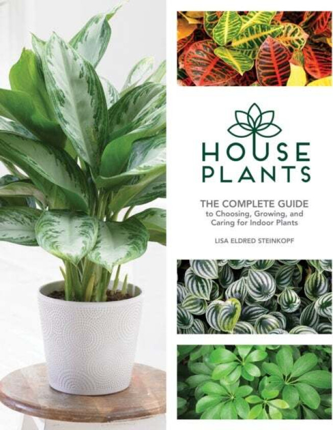 Houseplants av Lisa Eldred Steinkopf