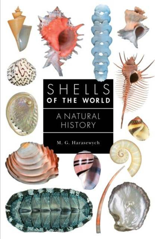 Shells of the World av M. G. Harasewych