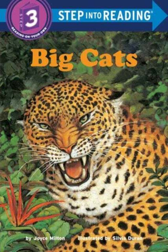 Big Cats av Joyce Milton