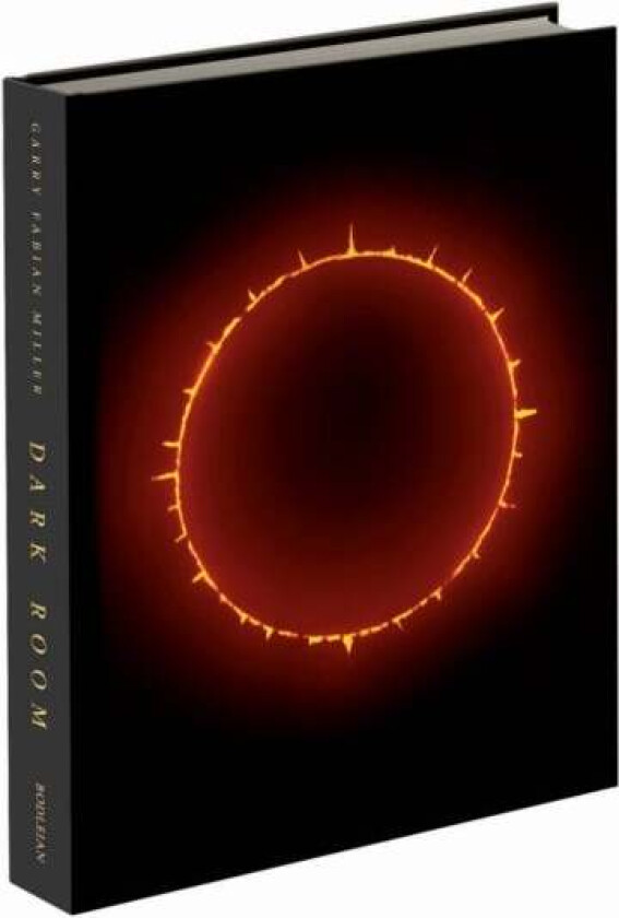 Dark Room av Garry Fabian Miller