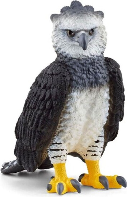 Harpy Eagle 6.1cm