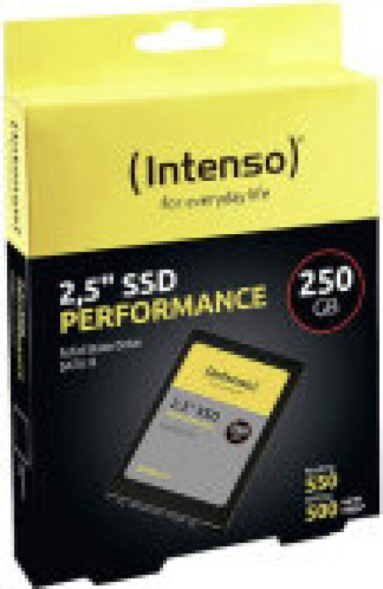 interne 2,5 Zoll SSD 250GB Performance SATA3