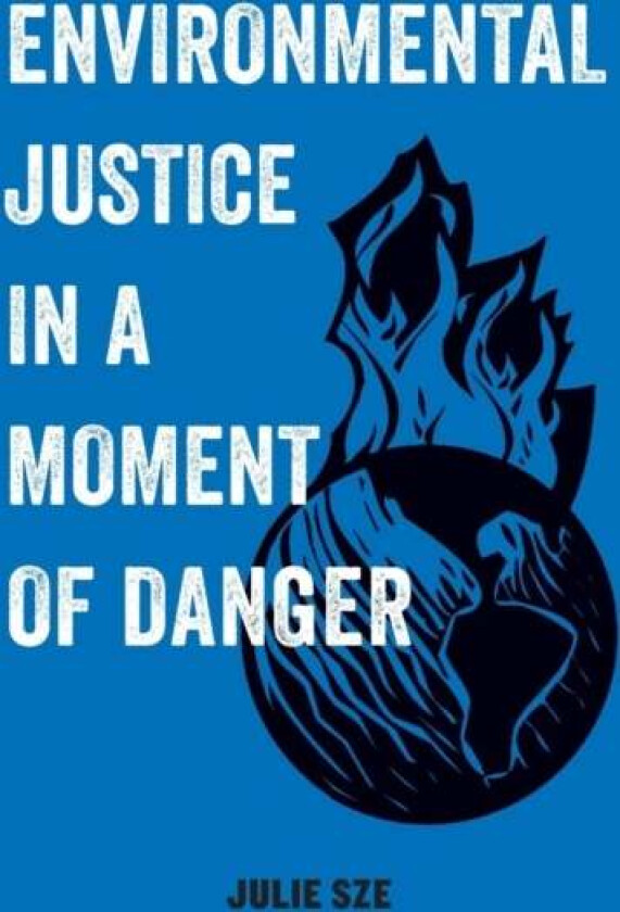 Environmental Justice in a Moment of Danger av Julie Sze