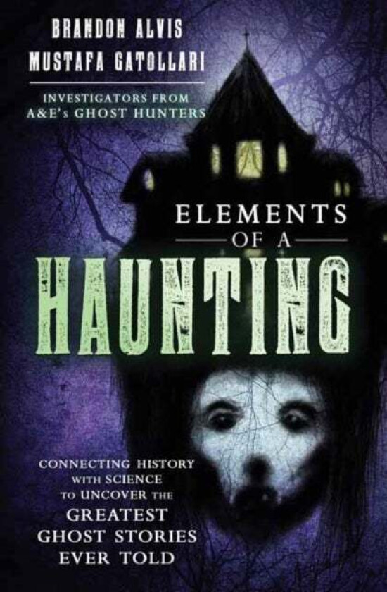Elements of a Haunting av Brandon Alvis, Mustafa Gatollari