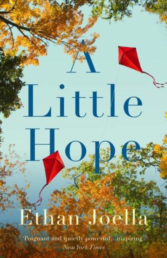 A Little Hope av Ethan Joella