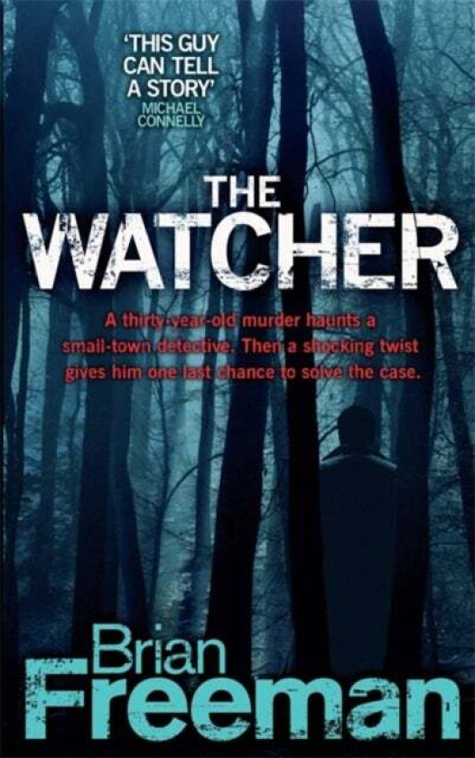 The Watcher (Jonathan Stride Book 4) av Brian Freeman