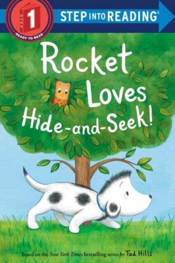 Rocket Loves Hide-and-Seek! av Tad Hills