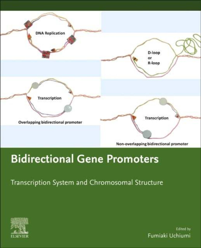 Bidirectional Gene Promoters av Fumiaki (Professor of Pharmaceutical Sciences Tokyo University of Science Japan) Uchiumi
