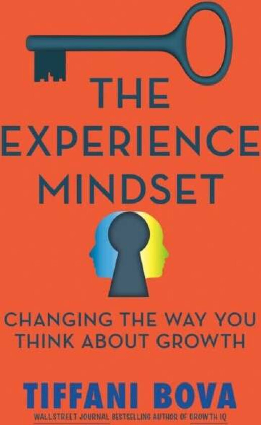 The Experience Mindset av Tiffani Bova