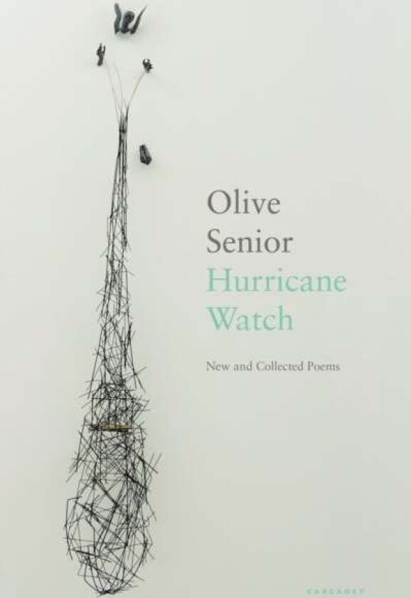 Hurricane Watch av Olive Senior