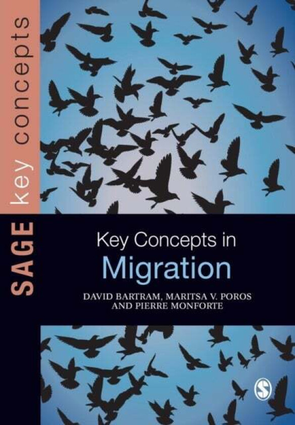 Key Concepts in Migration av David Bartram, Maritsa Poros, Pierre Monforte