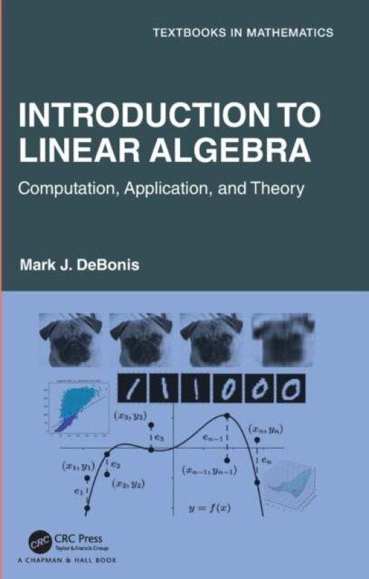 Introduction To Linear Algebra av Mark J. (Manhattan College USA) DeBonis
