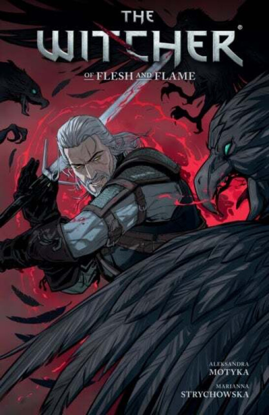 The Witcher Volume 4: Of Flesh And Flame av Aleksandra Motyka