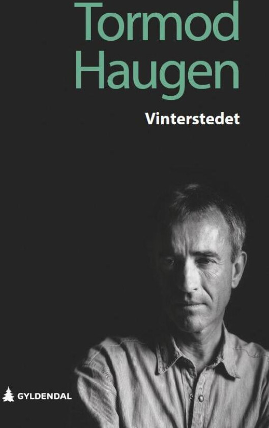 Vinterstedet av Tormod Haugen