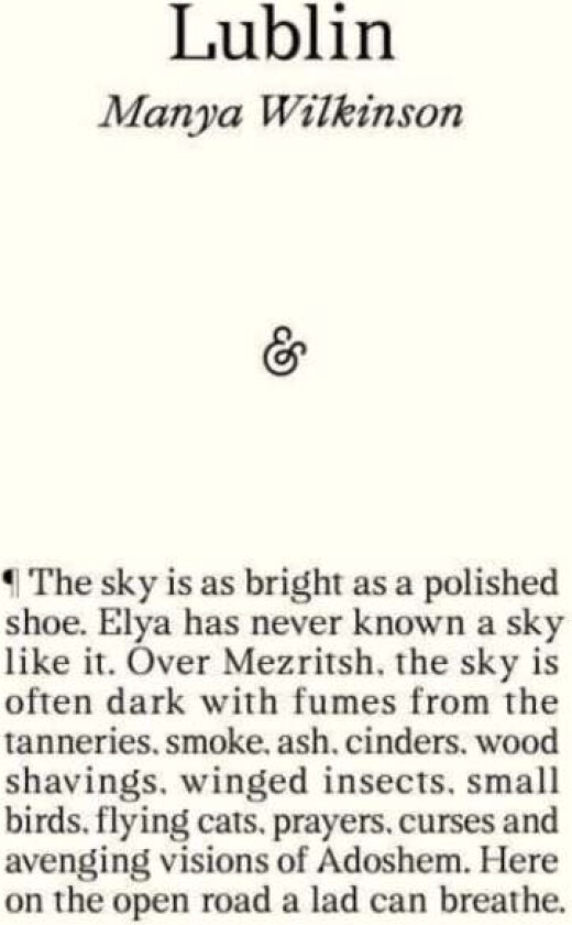 Lublin av Manya Wilkinson
