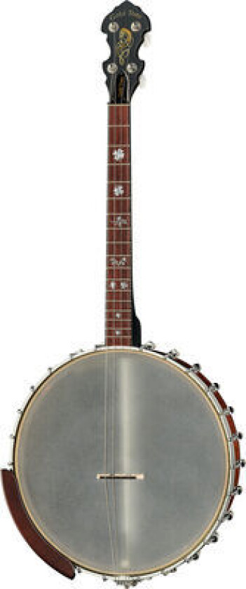 Irish Tenor Banjo 12