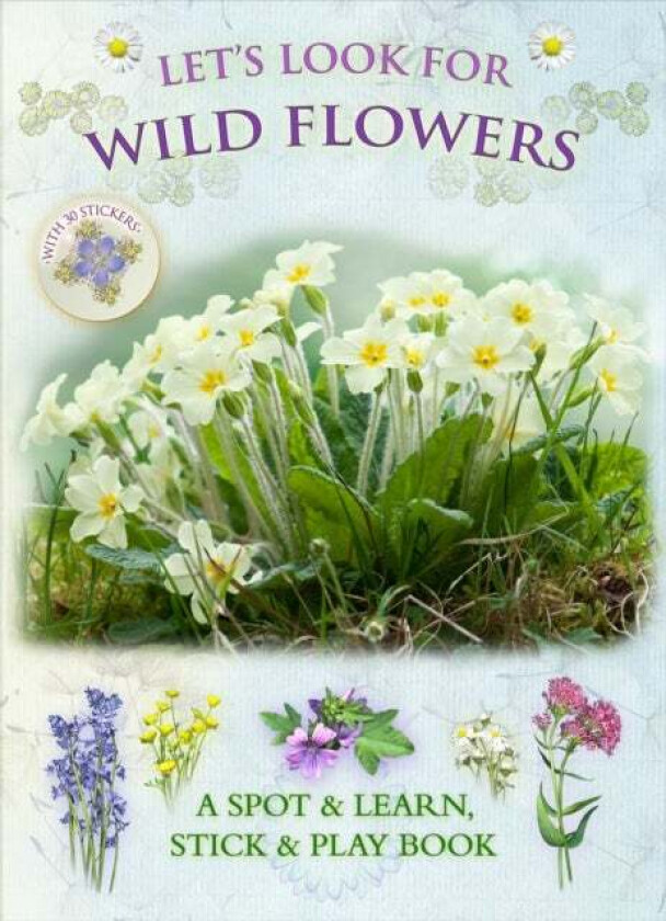 Let's Look for Wild Flowers av Caz Buckingham, Andrea Pinnington