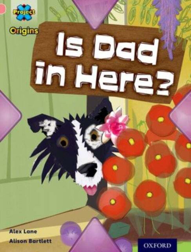 Project X Origins: Pink Book Band, Oxford Level 1+: My Family: Is Dad in Here? av Alex Lane