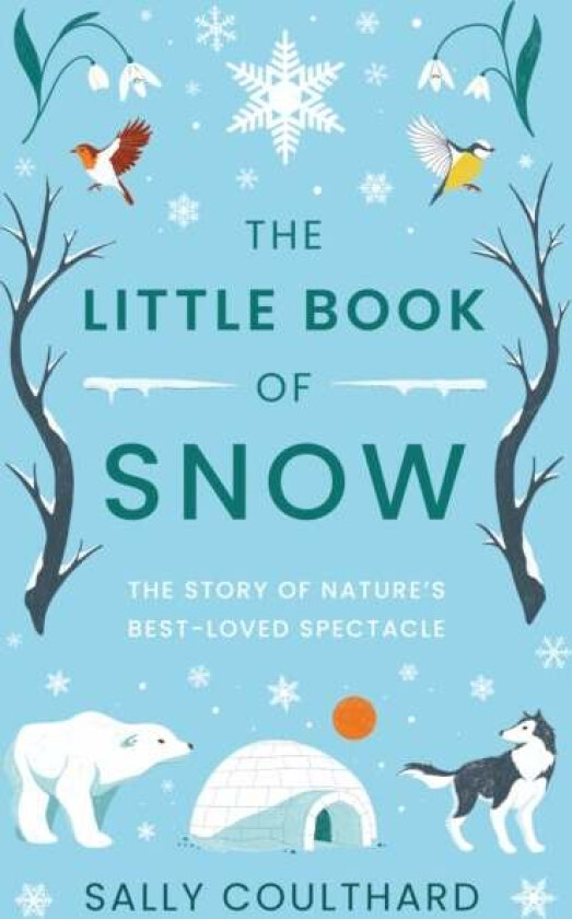 The Little Book of Snow av Sally Coulthard
