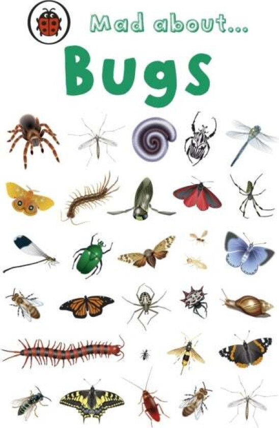 Mad About Bugs av Ladybird