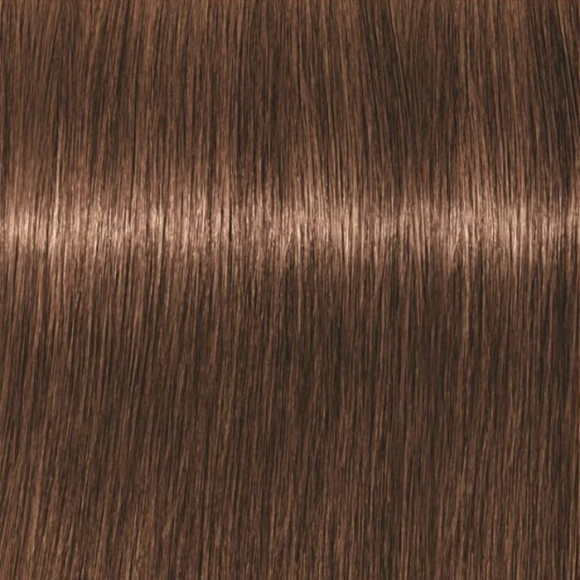 Professional Igora Vibrance Kit 6-6 Dark Blonde Chocolate