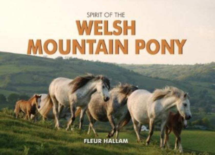 Spirit of the Welsh Mountain Pony av Fleur Hallam