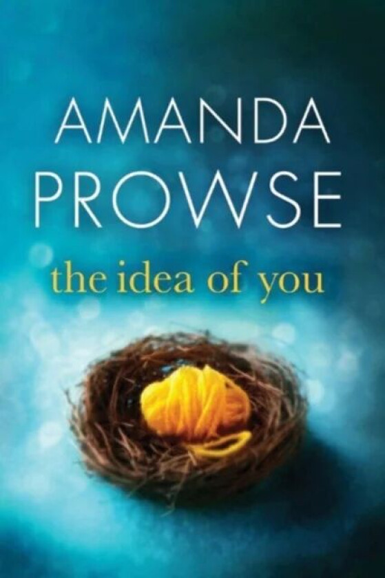 The Idea of You av Amanda Prowse