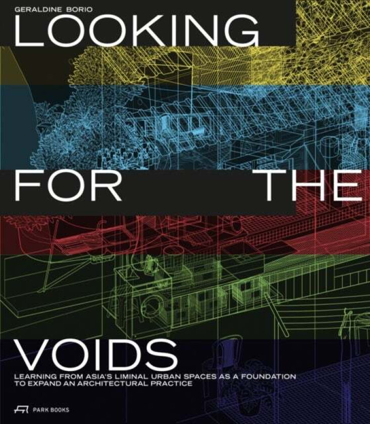 Looking For The Voids Av Geraldine Borio