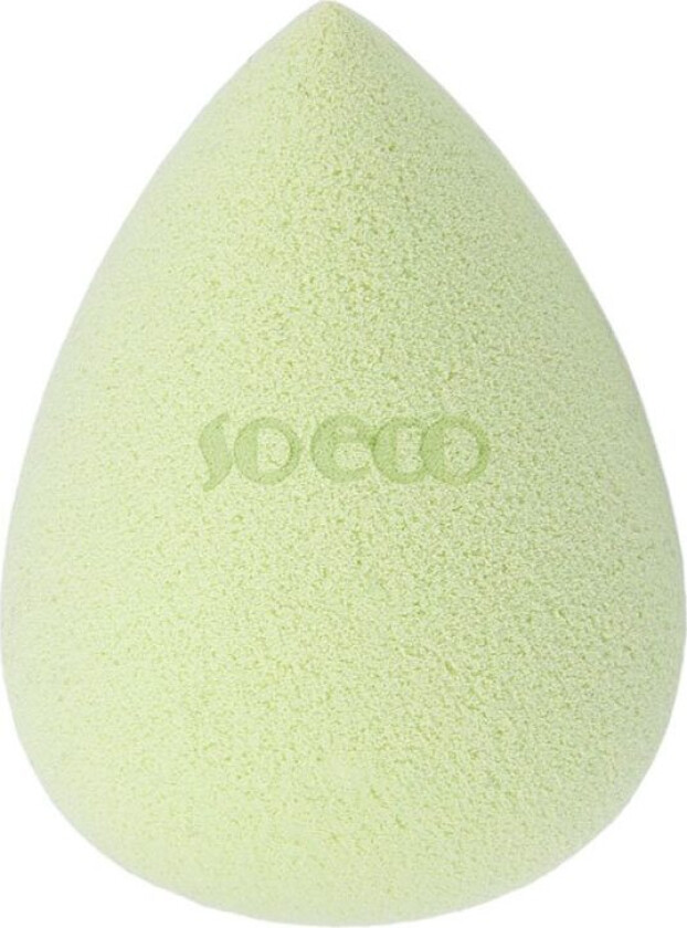 Complexion Sponge