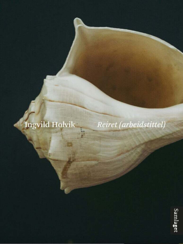 Reiret (arbeidstittel) av Ingvild Holvik