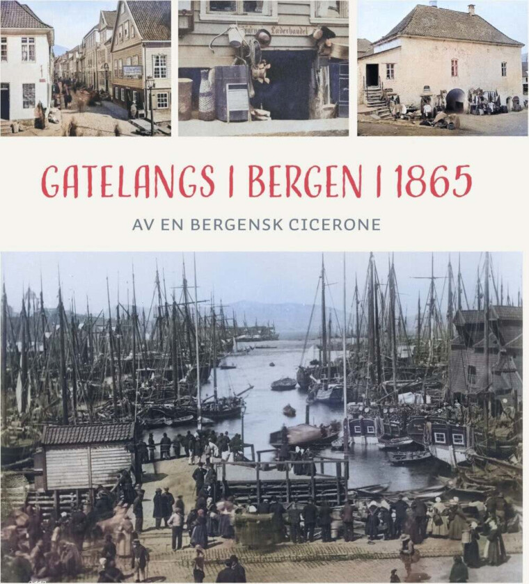 Gatelangs i Bergen i 1865 av Arve Torkelsen