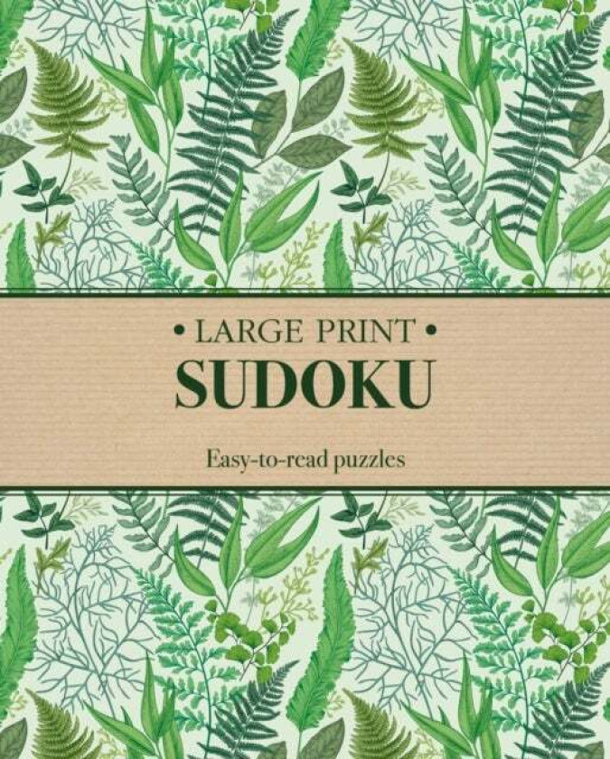 Large Print Sudoku av Eric Saunders