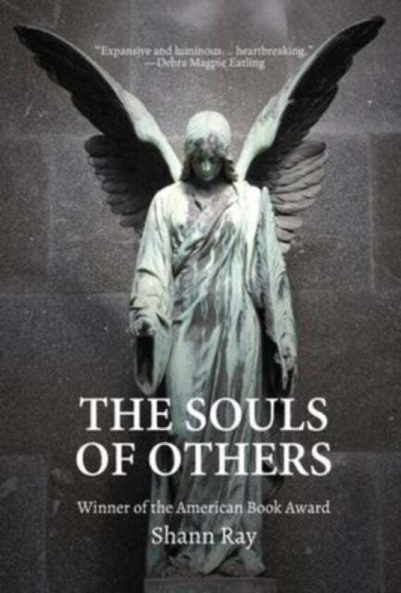 The Souls of Others av Shann Ray